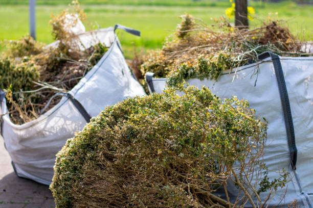 Basement Cleanout Services in Wade Hampton, SC