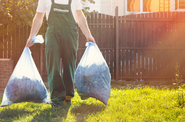 Best Commercial Junk Removal  in Wade Hampton, SC